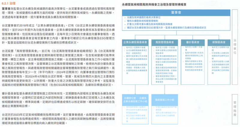 台灣水泥 113 年度年報 S1 治理