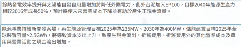 台灣水泥 113 年度年報 S1 策略 短中長期影響